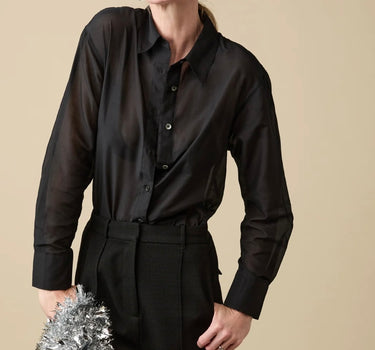 The Sheer Silk Shirt
