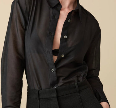 The Sheer Silk Shirt