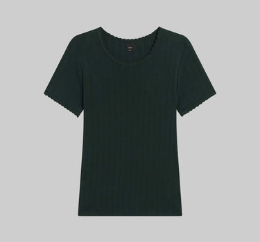 Pointelle Slim Fit Tee- FOREST