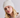 The Alpaca Beanie